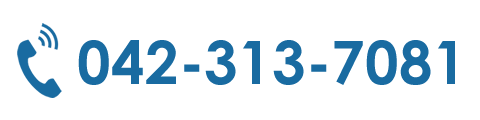 042-313-7081